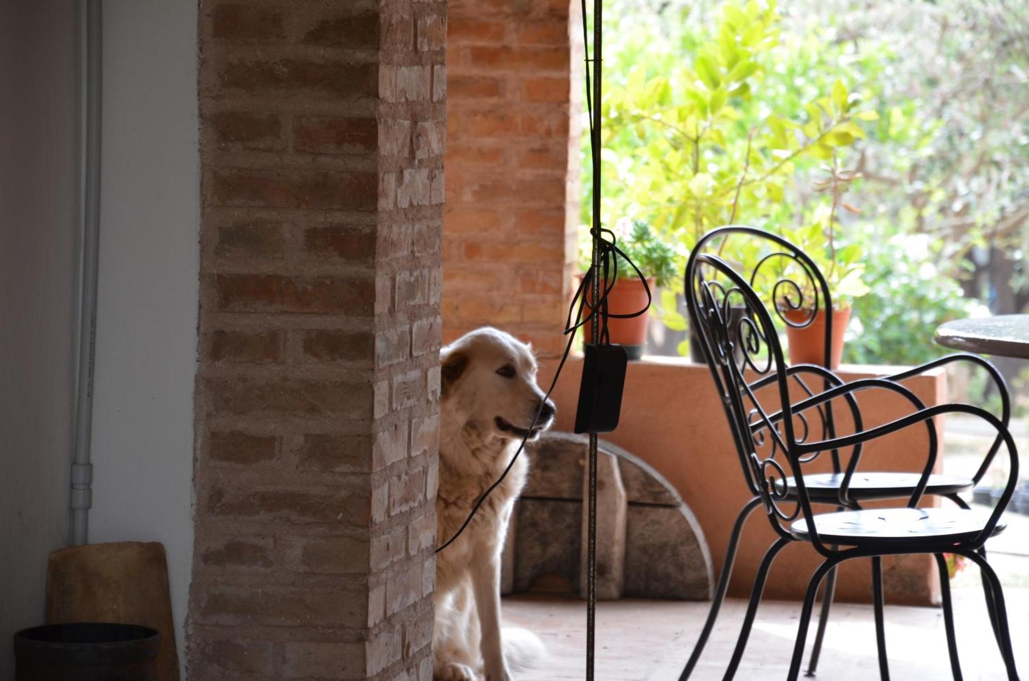 Bed and Breakfast Borgo Piazza Катандзаро Номер фото